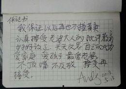 娱乐吃瓜酱检讨书,反思与成长之路