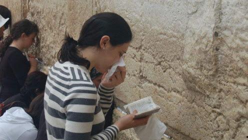 无敌娱乐吃瓜君,揭秘娱乐圈幕后真相