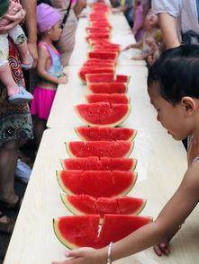 娱乐吃瓜小能手